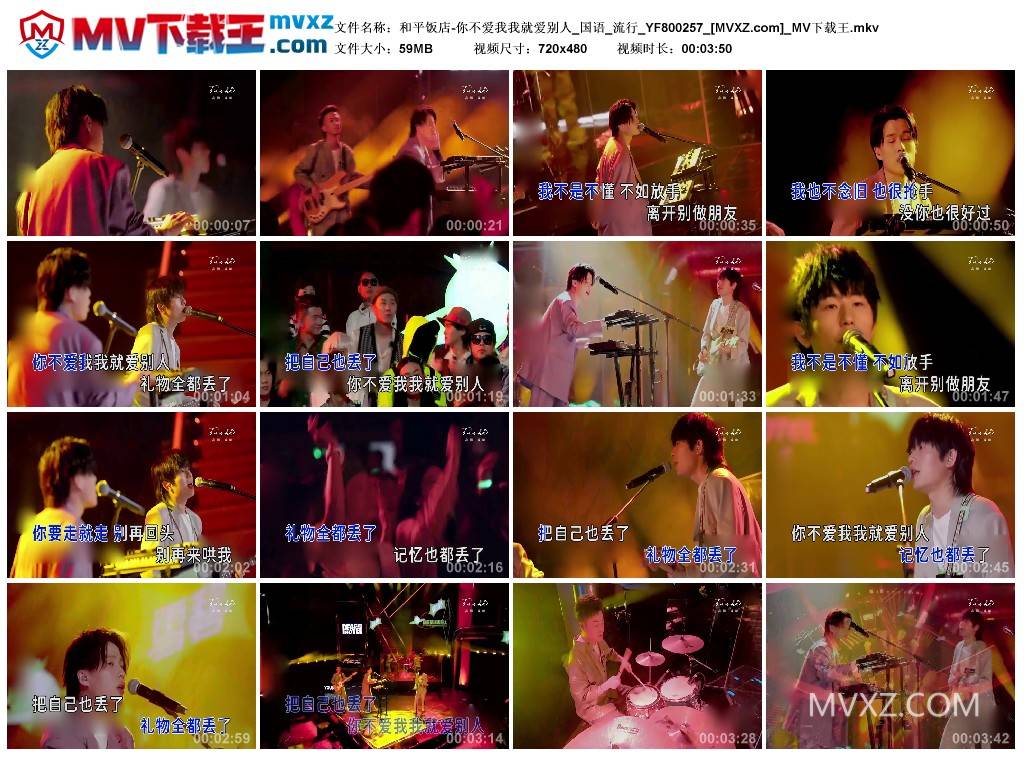 和平饭店-你不爱我我就爱别人_国语_流行_YF800257